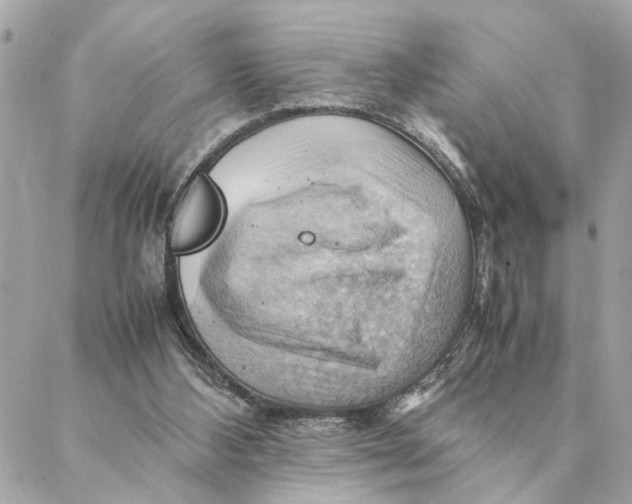 X0000088370108200706121130