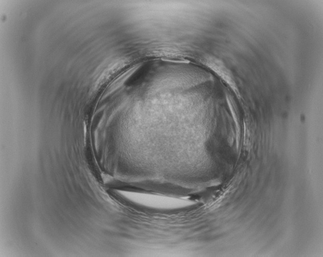 X0000088370109200706121130