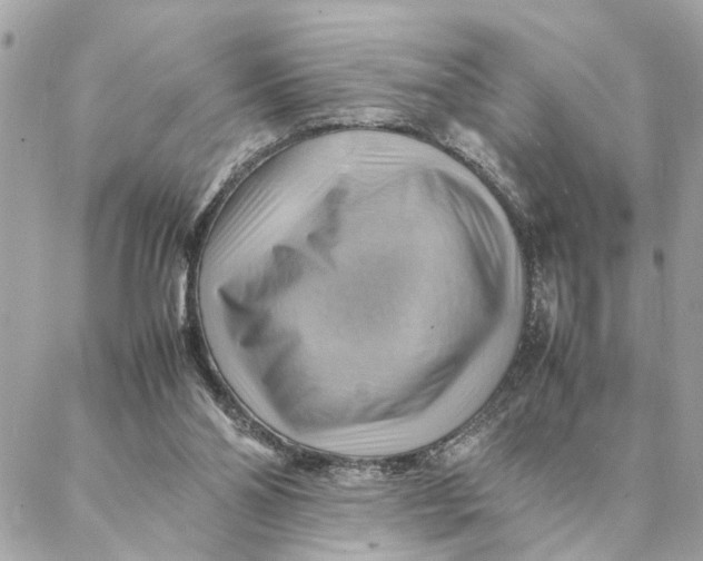 X0000088370110200706121130