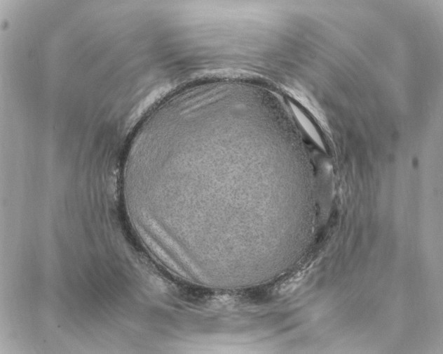 X0000088370111200706121130