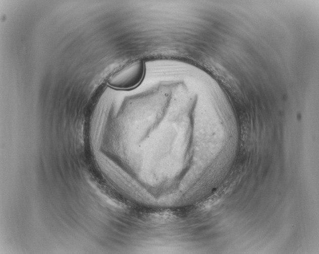 X0000088370112200706121130