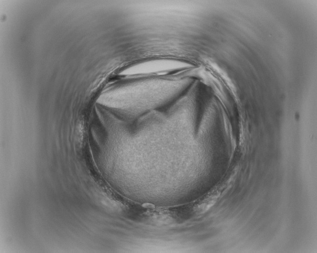 X0000088370113200706121130