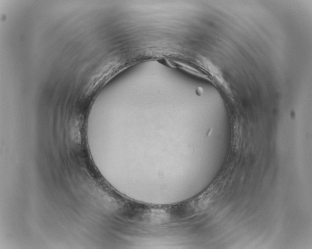 X0000088370114200706121130