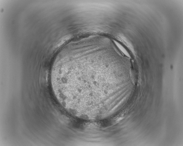 X0000088370115200706121130