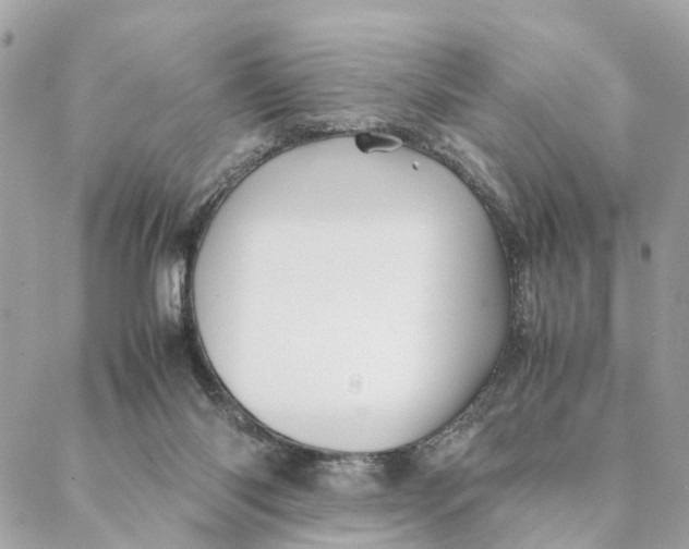 X0000088370118200706121130