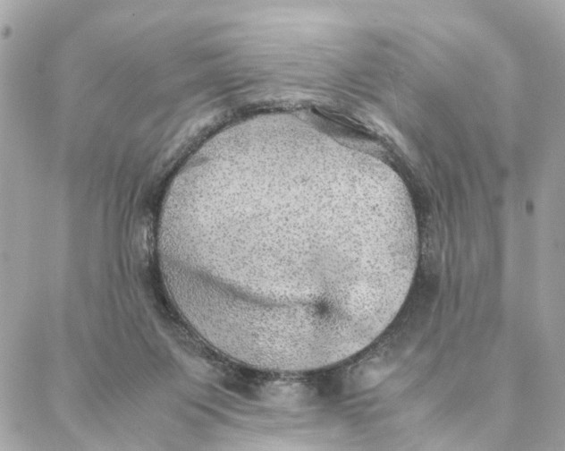 X0000088370119200706121130