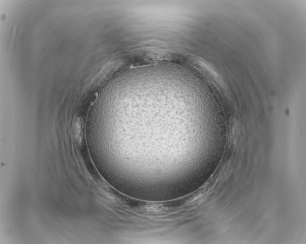 X0000088370121200706121130