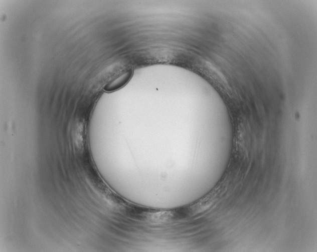 X0000088370122200706121130