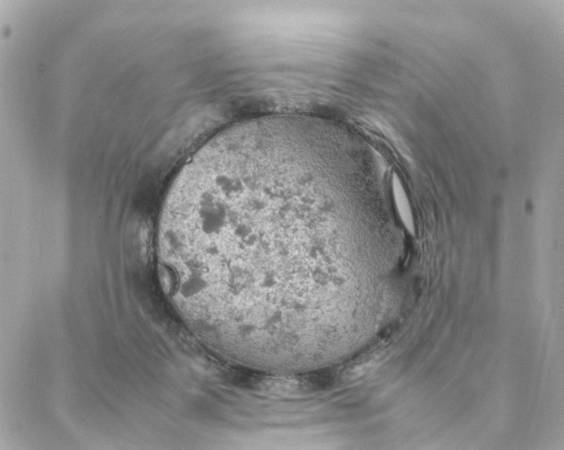 X0000088370123200706121130