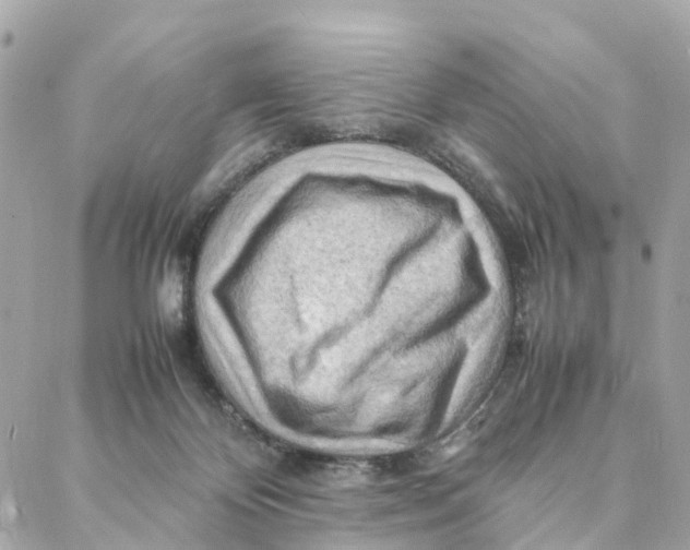 X0000088370124200706121130