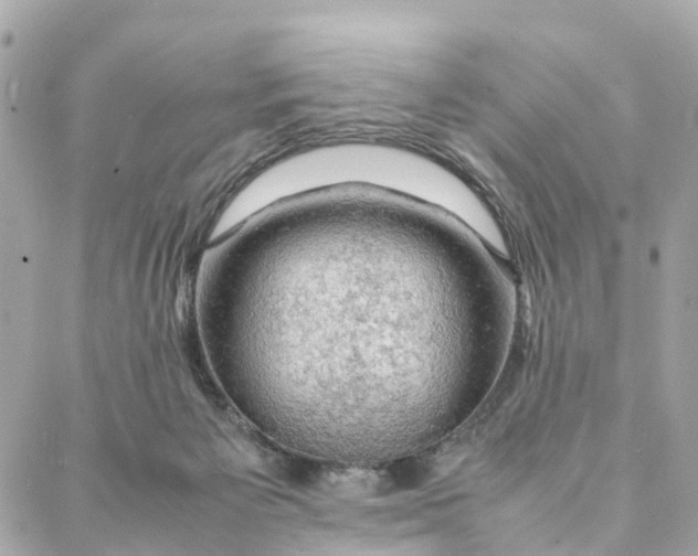 X0000088370125200706121130