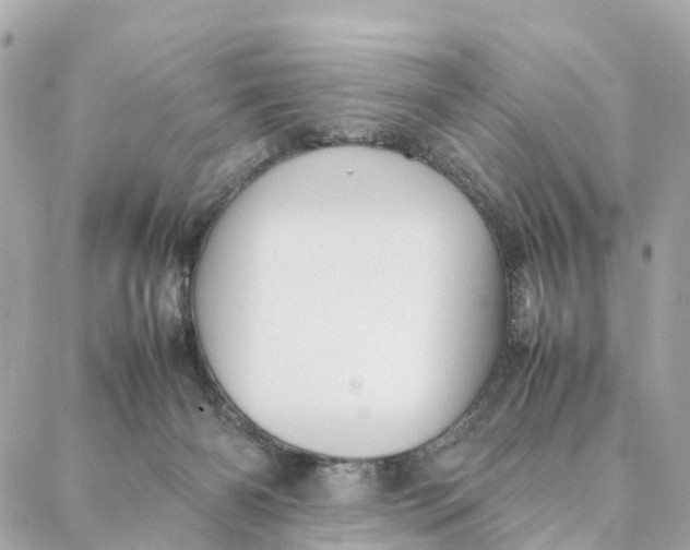 X0000088370126200706121130