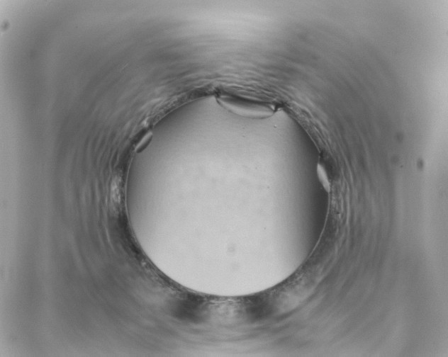 X0000088370127200706121130