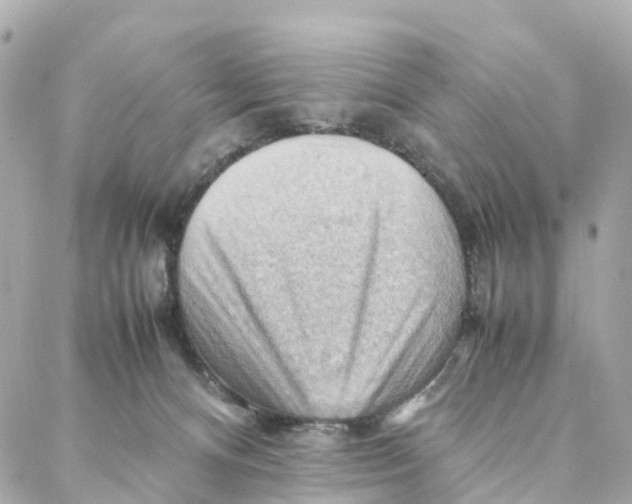 X0000088370128200706121129