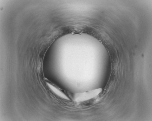 X0000088370129200706121129