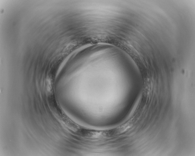 X0000088370130200706121129