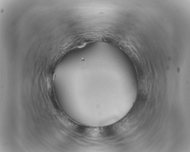 X0000088370131200706121129