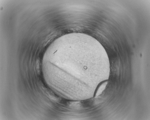 X0000088370132200706121129