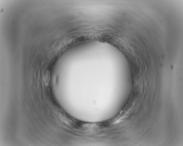 X0000088370133200706121129