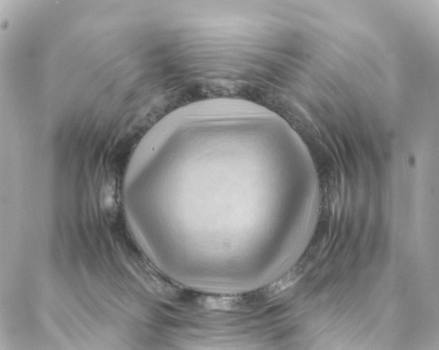 X0000088370134200706121129