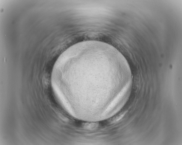 X0000088370135200706121129