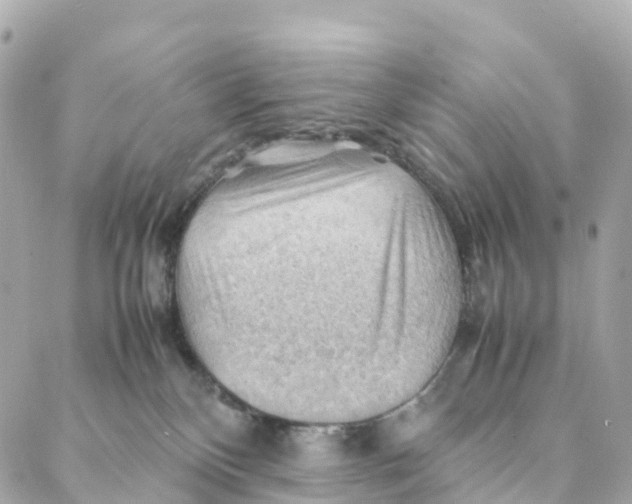 X0000088370136200706121129