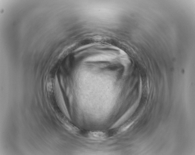 X0000088370137200706121129