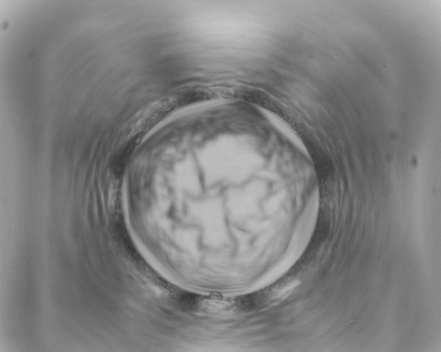 X0000088370139200706121129