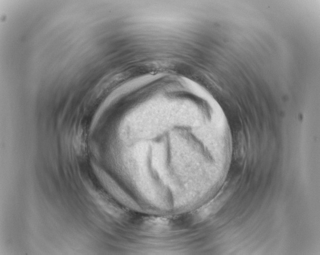 X0000088370140200706121129