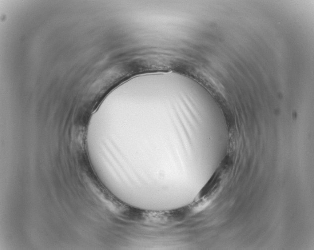 X0000088370141200706121129