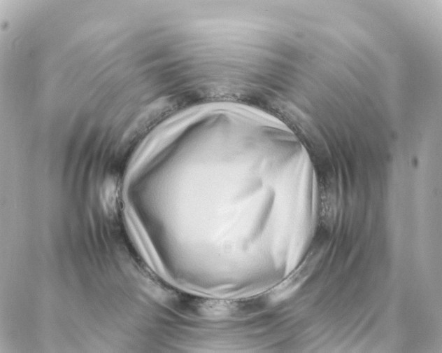 X0000088370142200706121129