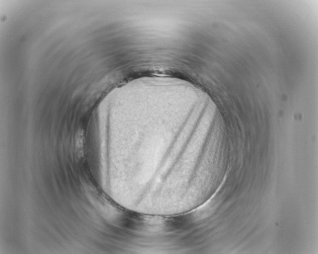 X0000088370144200706121129