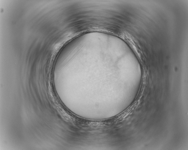 X0000088370145200706121128