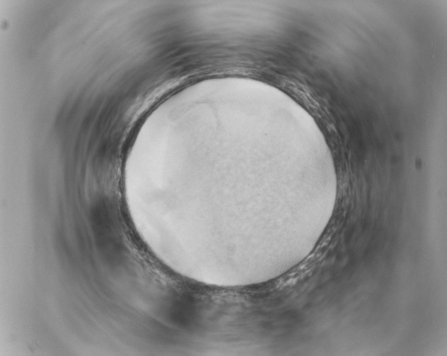 X0000088370146200706121128