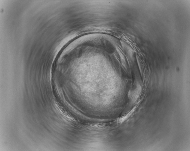 X0000088370148200706121129