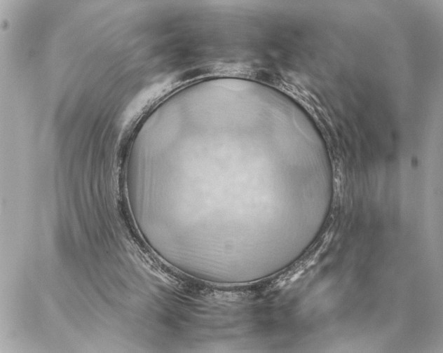 X0000088370149200706121129