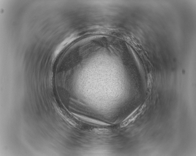 X0000088370150200706121129