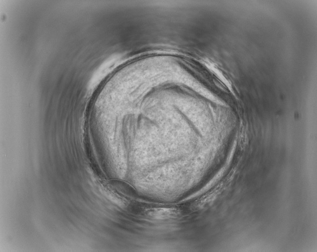 X0000088370151200706121129