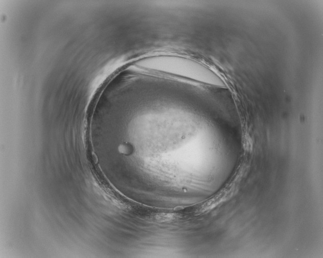 X0000088370152200706121129