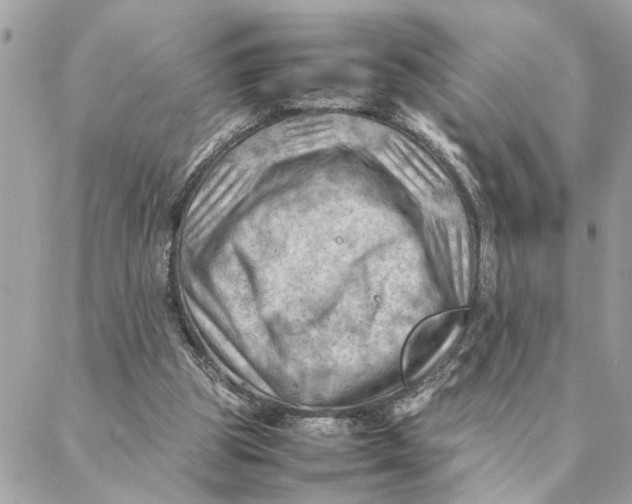 X0000088370153200706121129