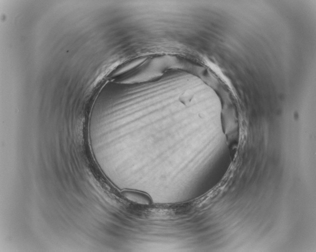 X0000088370154200706121129