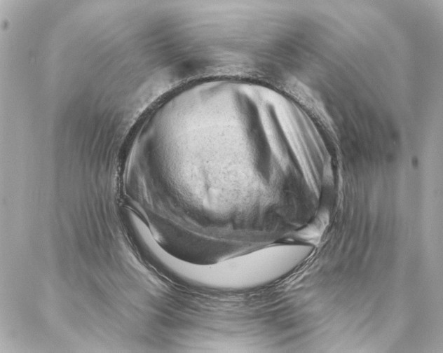 X0000088370156200706121129