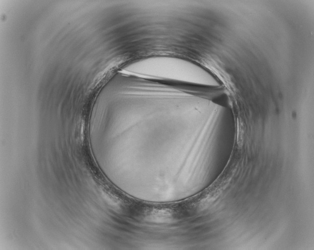 X0000088370157200706121129