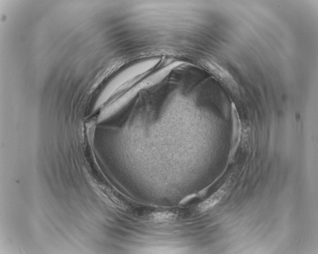 X0000088370158200706121129