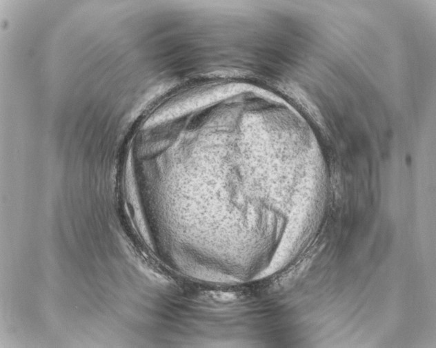 X0000088370159200706121129