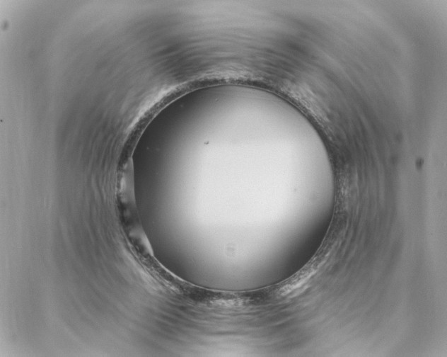 X0000088370160200706121129