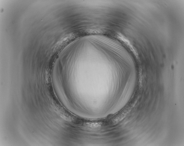 X0000088370161200706121129