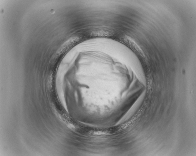 X0000088370163200706121129