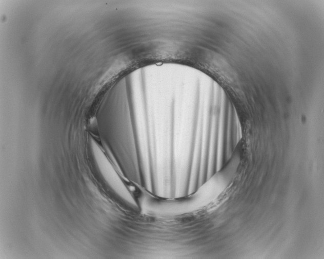 X0000088370164200706121129