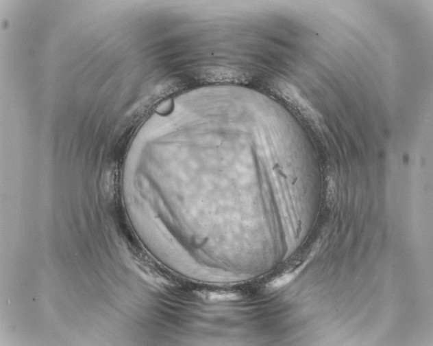 X0000088370165200706121129